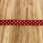 Ruban rouge à pois 17 mm